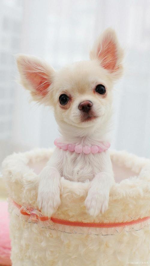 ܹģ2000ԪйҵĻ仧Ϻ